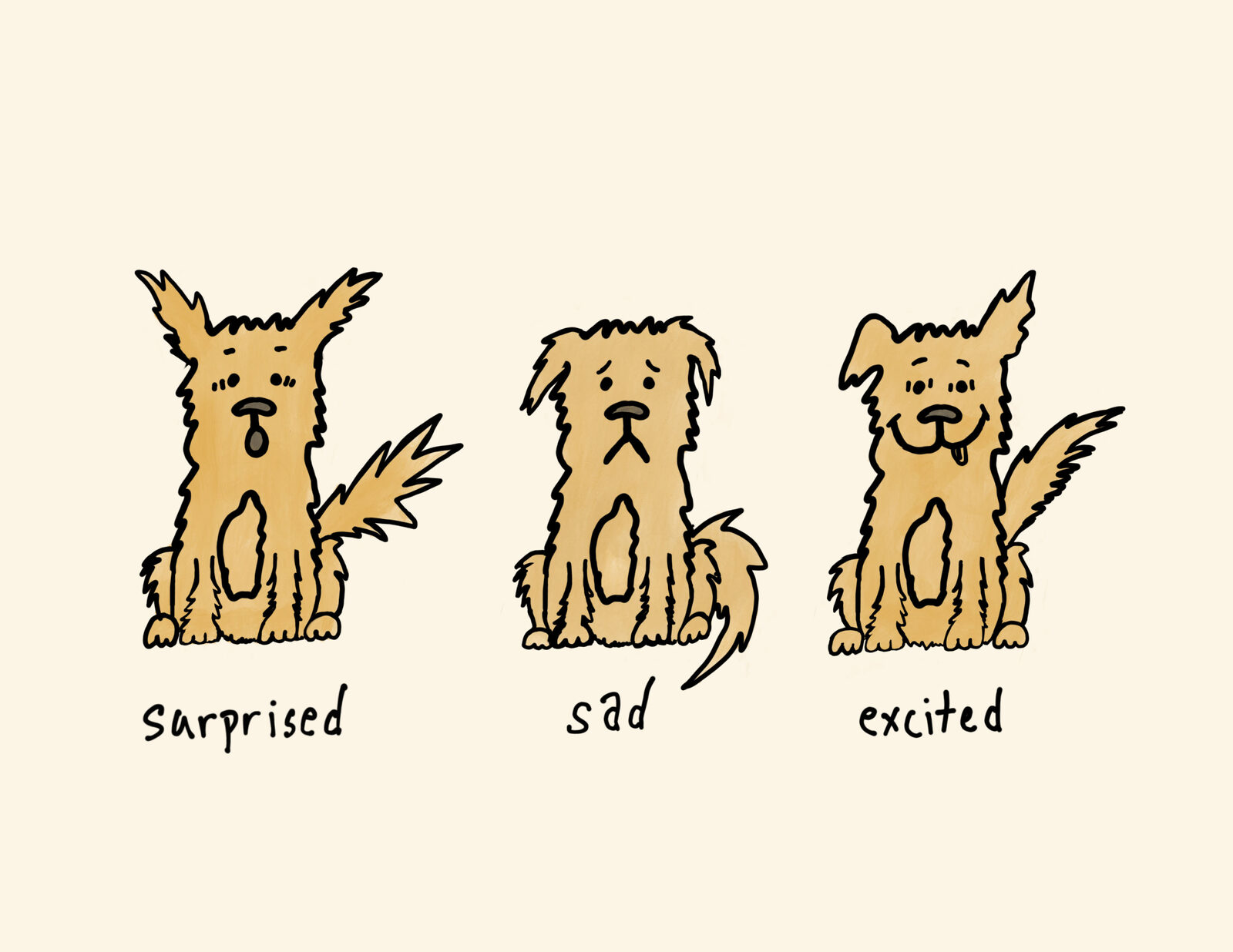 Three drawings of Scruffy Puppy labelled surprised, sad and excited